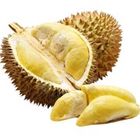 榴莲